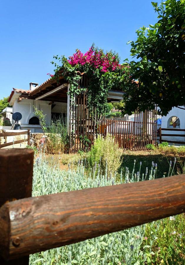 Koel Country House Ano Almiri Exteriér fotografie